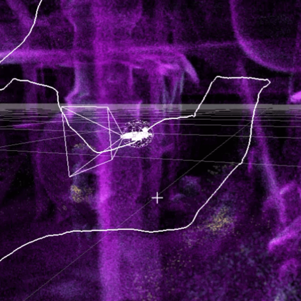 Inspection de réseaux par drone